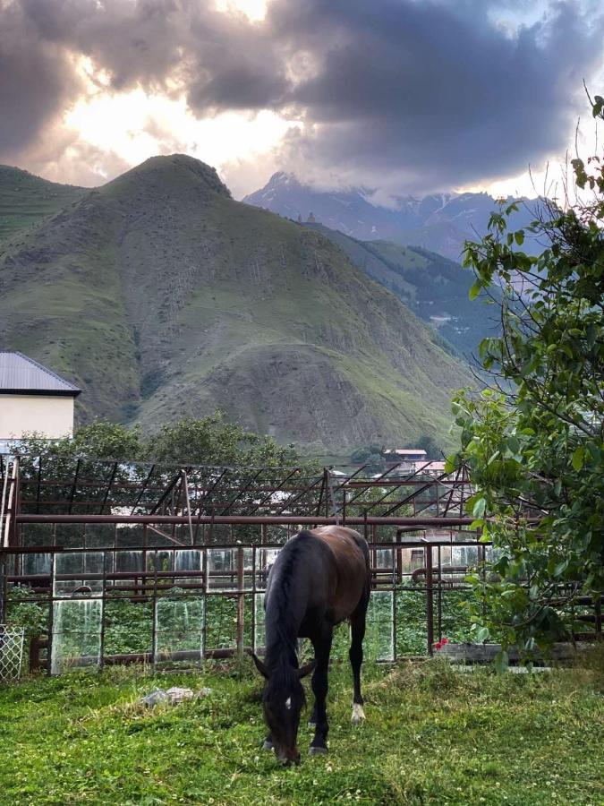 Dato Khetaguri Apartment Kazbegi Bagian luar foto
