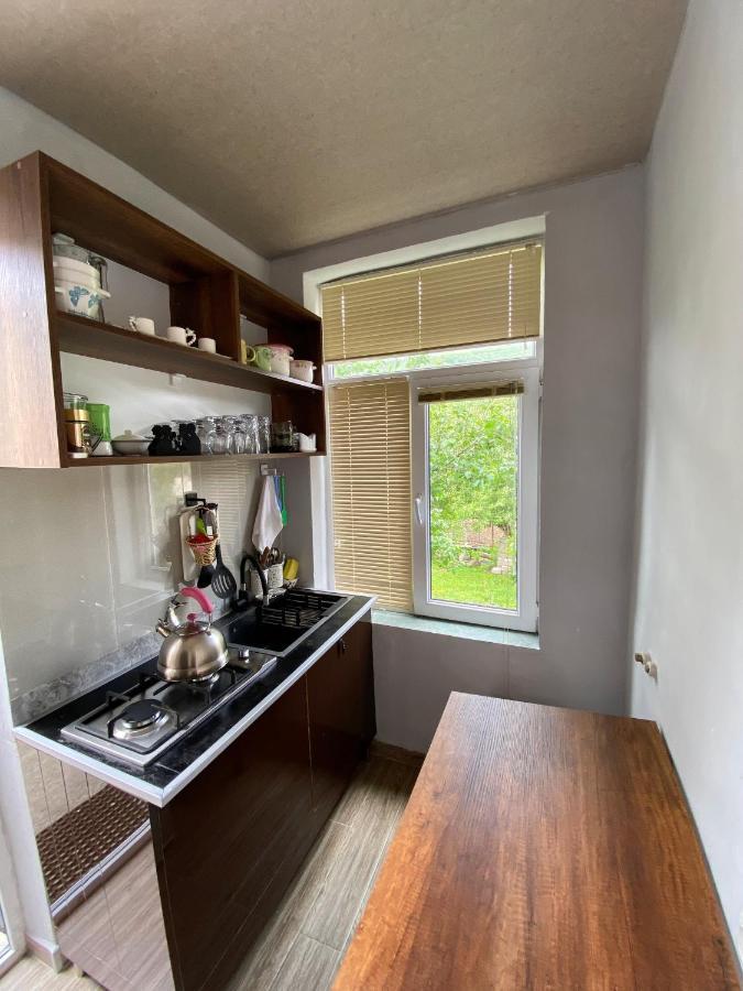 Dato Khetaguri Apartment Kazbegi Bagian luar foto